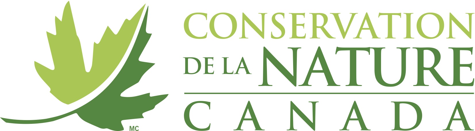 CNC2015