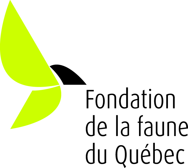 FFQ vert.coul.process