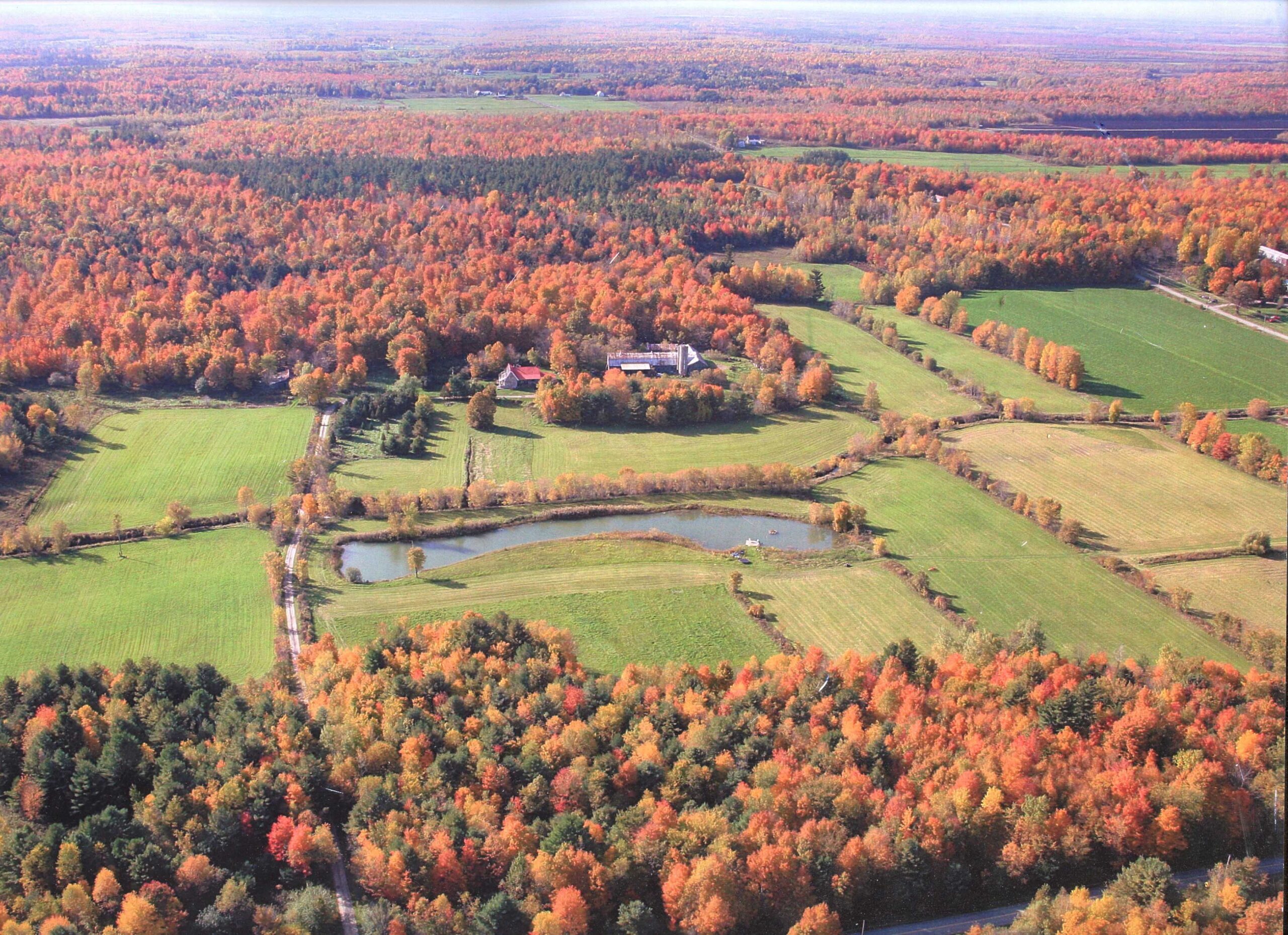 Corridor_faunique_Credit_Glenn Hodgins)